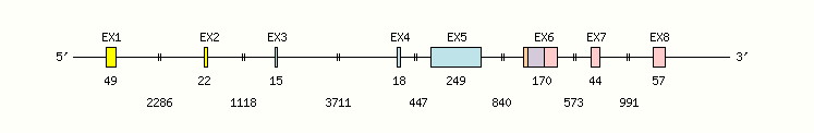 CD3E