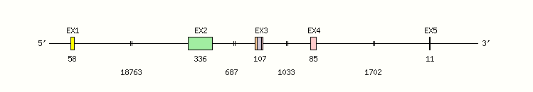 ICOS