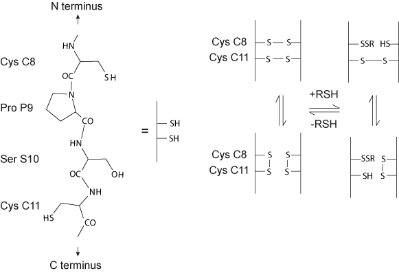 IgG1