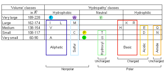 IMGT classes