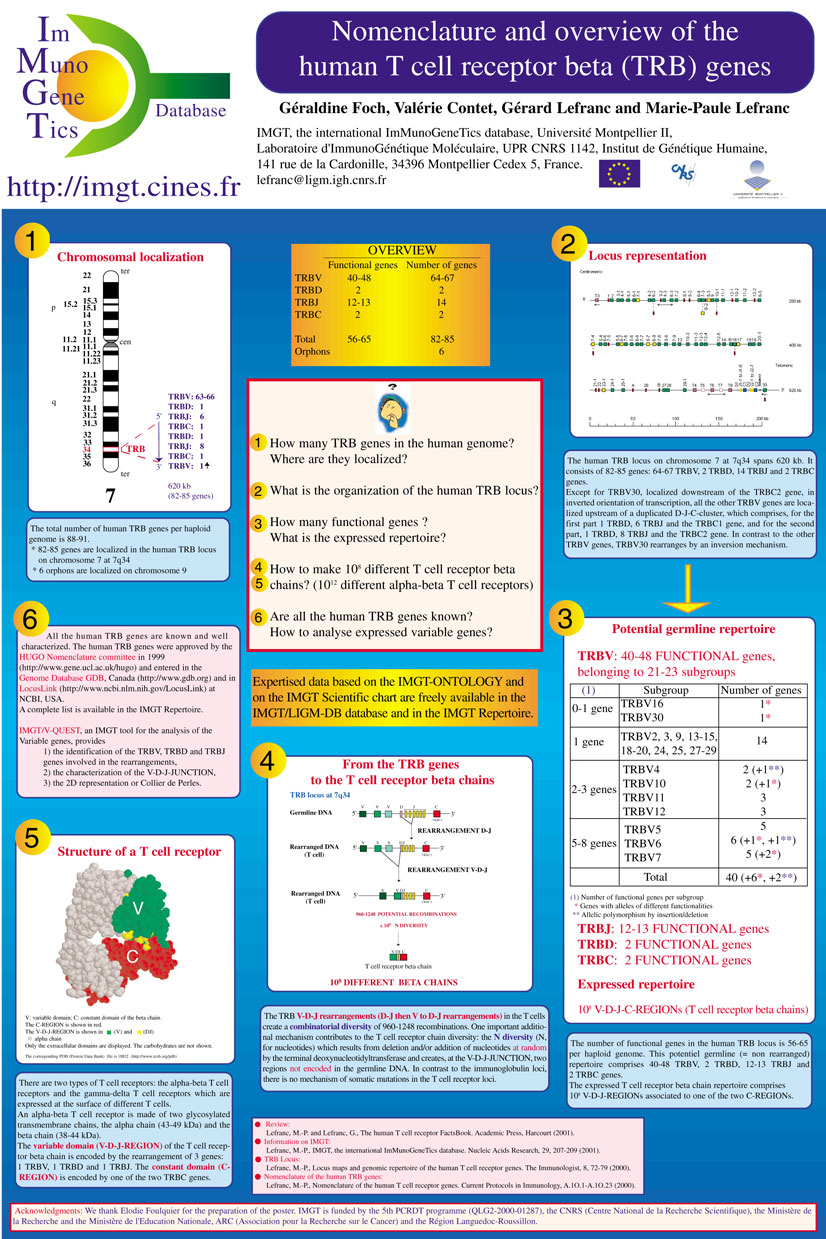 Trb Poster Template